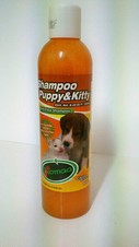 Shampoo Biomma